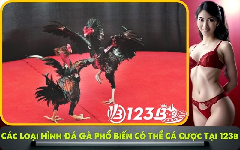 Các loại hình đá gà phổ biến có thể cá cược tại 123b