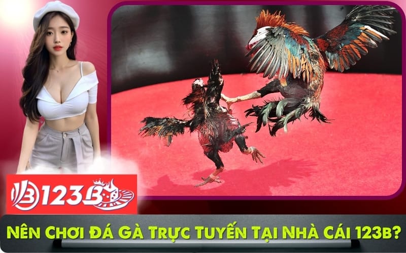 Nên chơi đá gà trực tuyến tại nhà cái 123b