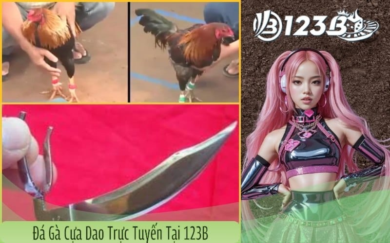 Đá gà cựa dao trực tuyến tại 123B – Uy tín, an toàn, đa dạng trận đấu