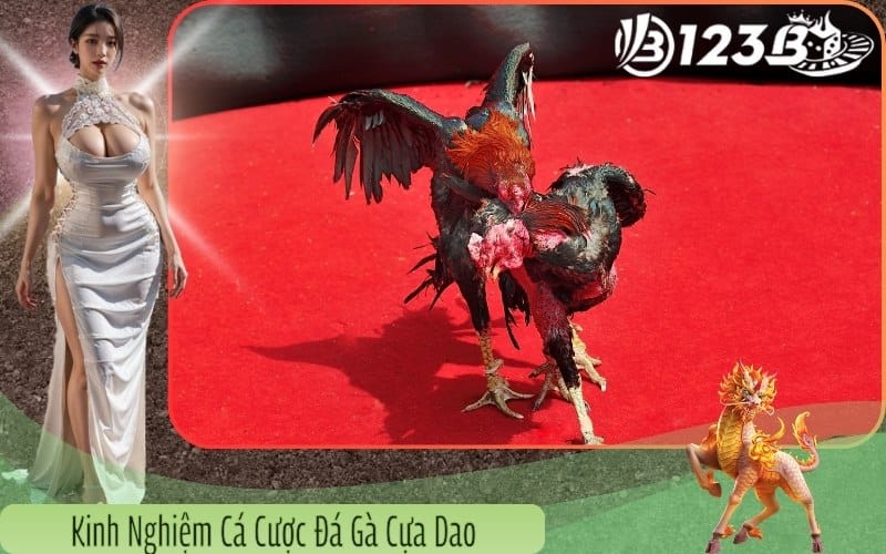 Kinh nghiệm cá cược đá gà cựa dao hiệu quả tại 123B
