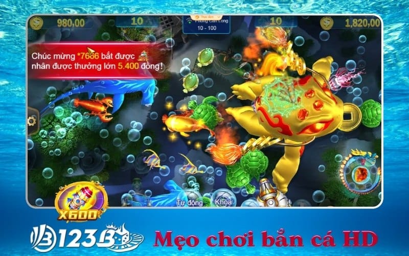 Mẹo chơi bắn cá HD 123B – Bí quyết săn thưởng từ cao thủ