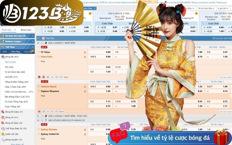 Tìm hiểu chi tiết về tỷ lệ cược bóng đá