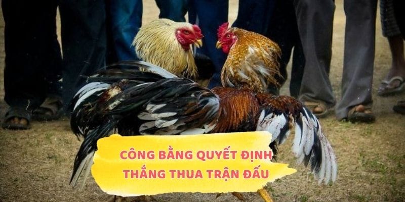 Công bằng quyết định thắng thua trận đấu