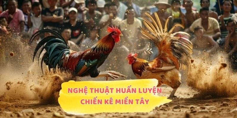 Nghệ thuật huấn luyện chiến kê miền Tây