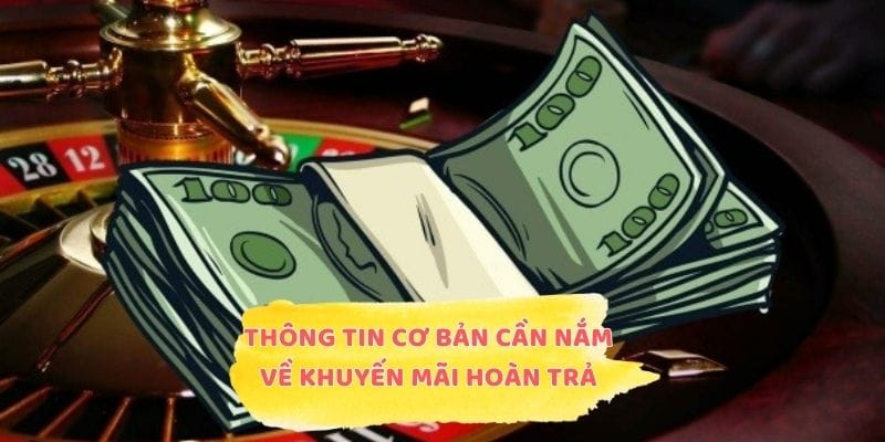 Thông tin cơ bản cần nắm về khuyến mãi hoàn trả